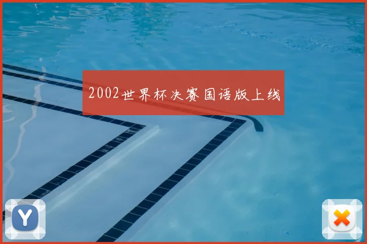 2002世界杯决赛国语版上线