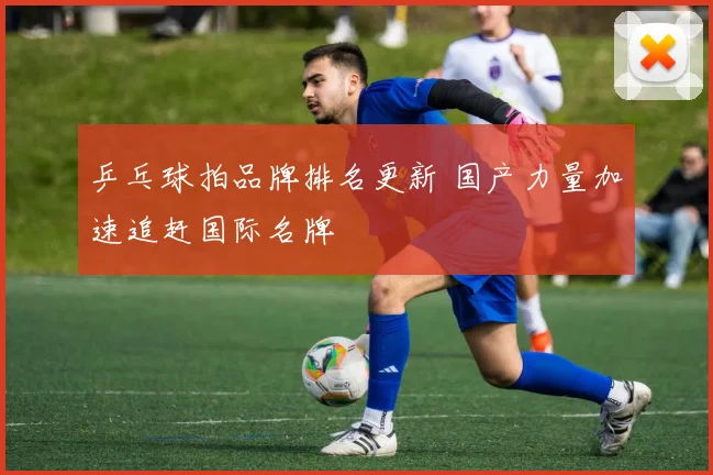 乒乓球拍品牌排名更新 国产力量加速追赶国际名牌