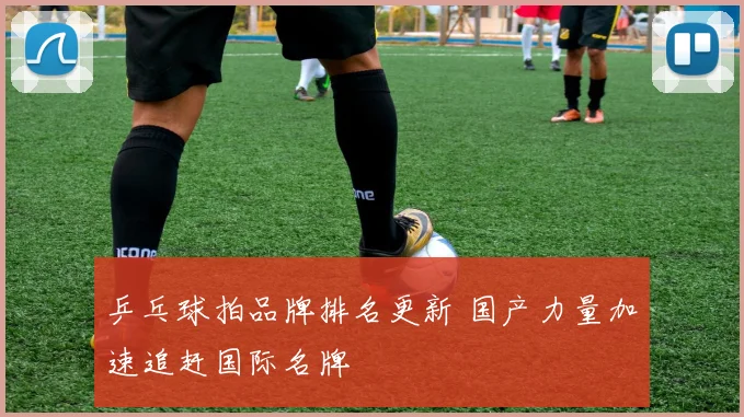 乒乓球拍品牌排名更新 国产力量加速追赶国际名牌