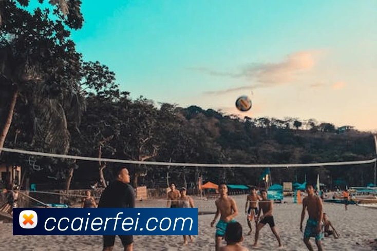 世界杯官网登录appAPP 封面图